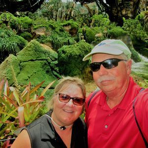 Meet your Posher, Donna